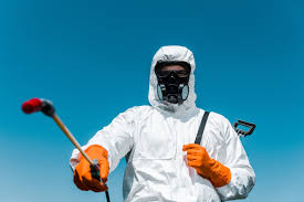 Trusted Rialto, CA Pest Control Experts